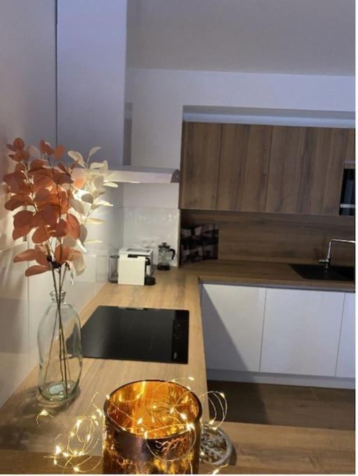 Le Doux Meleze Apartment Saint-Chaffrey Exterior photo